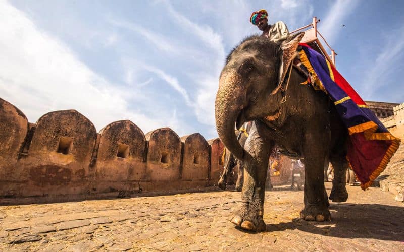 elephant ride amber fort jaipur